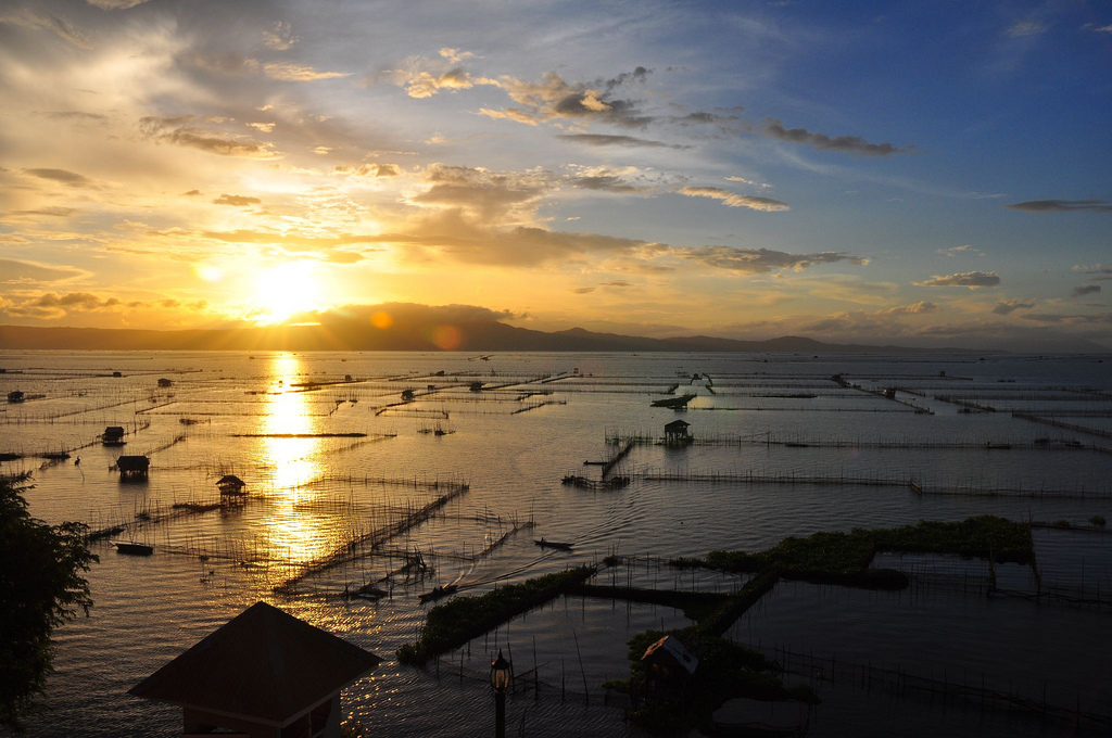 Laguna de Bay Sunrise