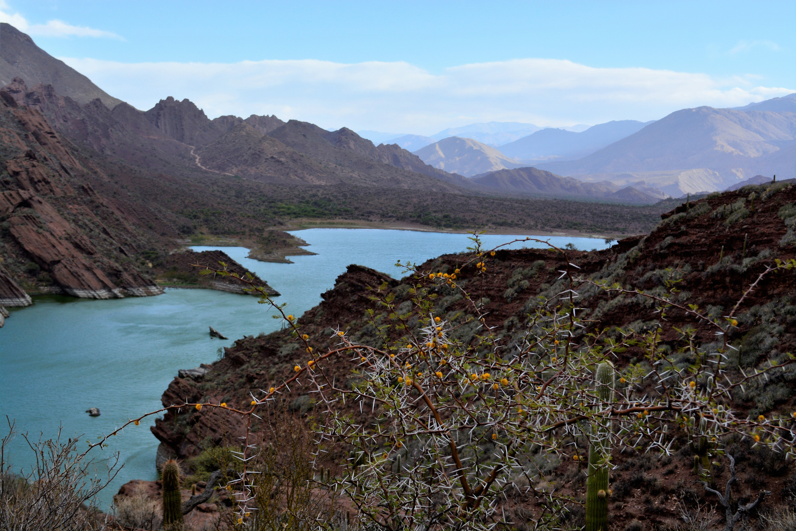 Laguna de Brealito