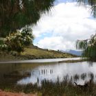 Laguna de CACOTA - Colombia