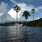 LAGUNA DE CANAIMA