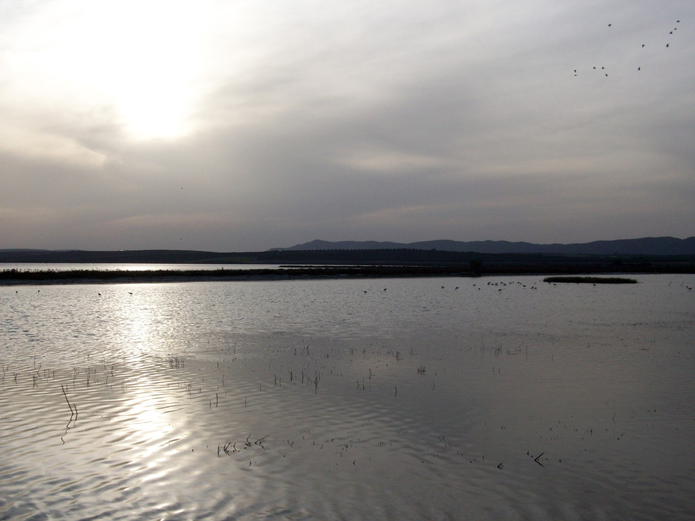 Laguna de Fuente de Piedra