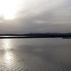 Laguna de Fuente de Piedra