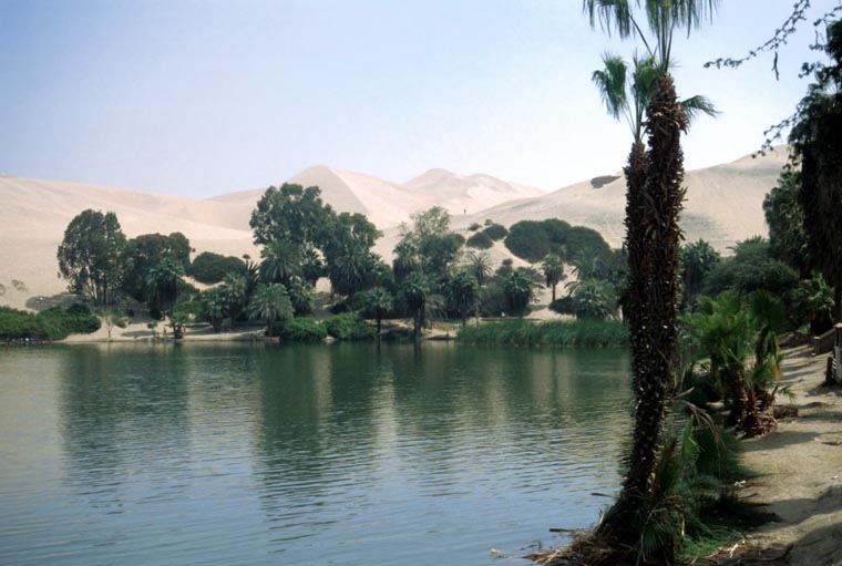 Laguna de Huacachina