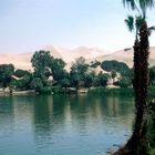 Laguna de Huacachina