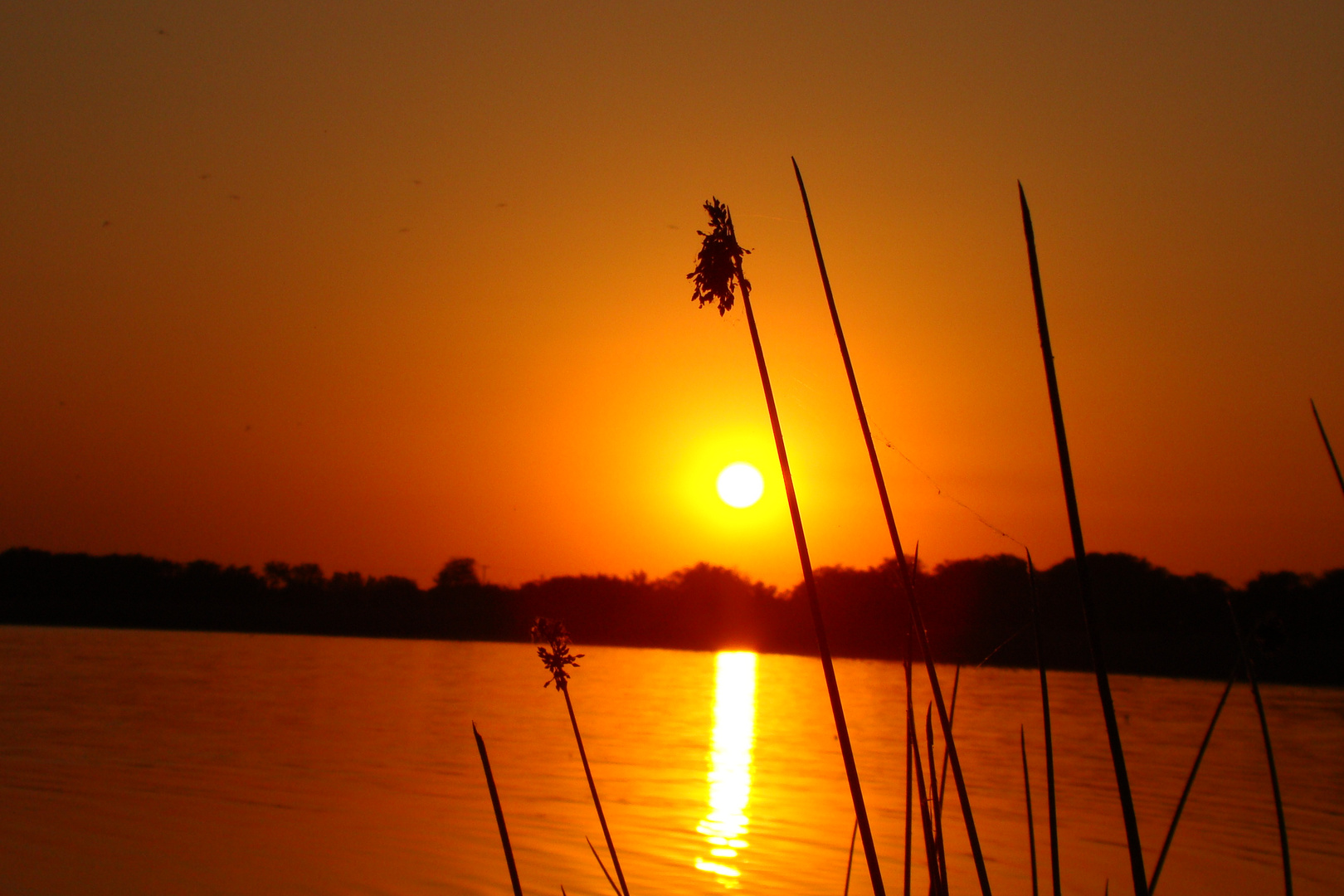 laguna de lobos