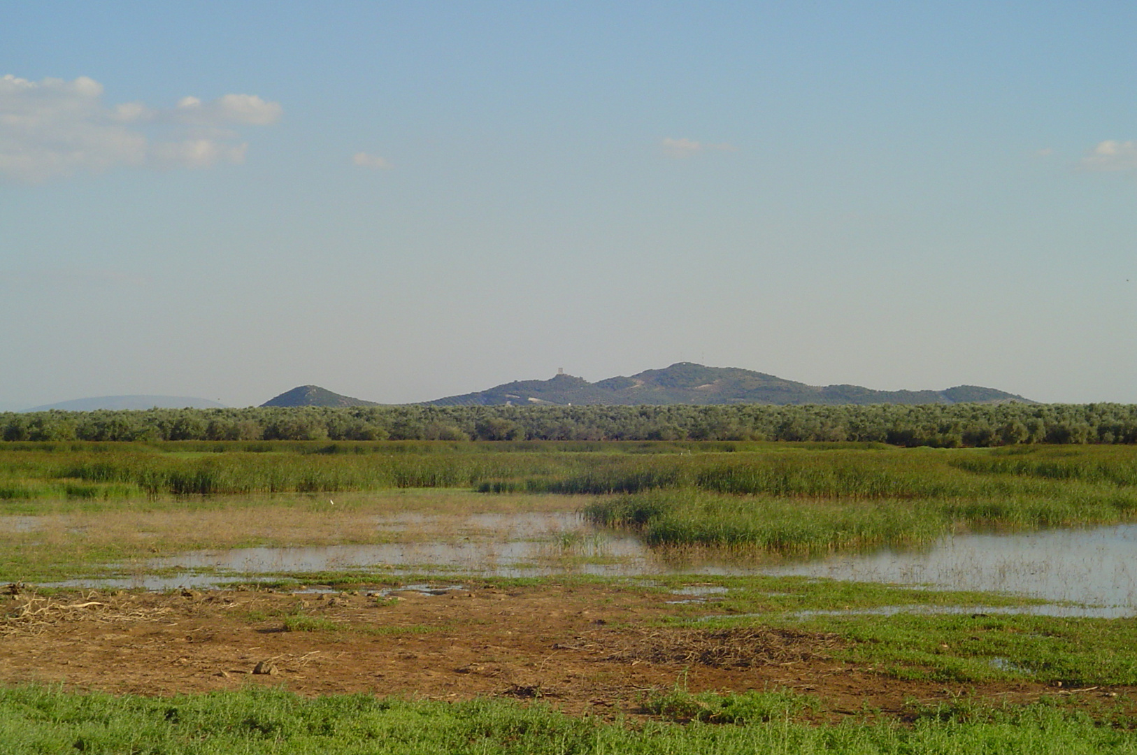 Laguna de Los Arenales