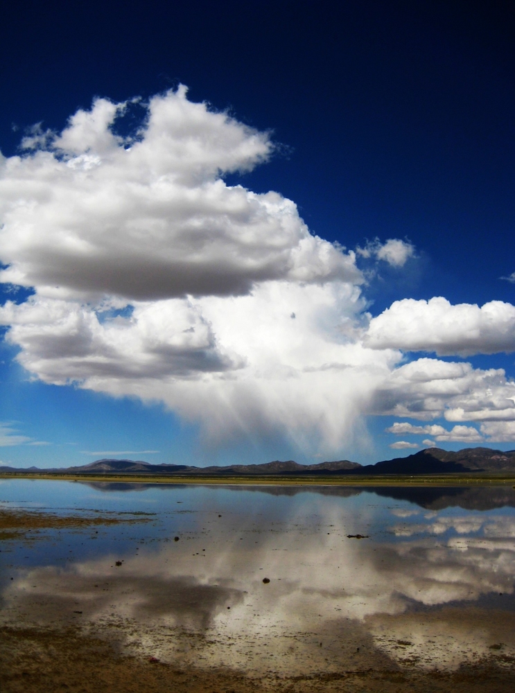 Laguna de los Pozuelos