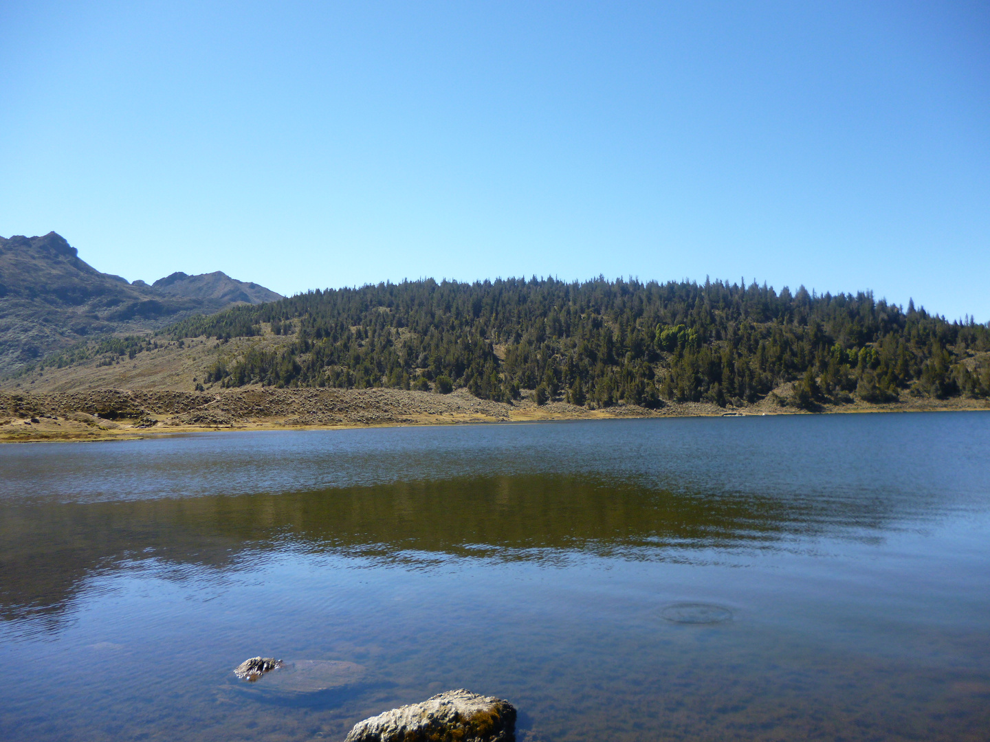 Laguna de Mucubají