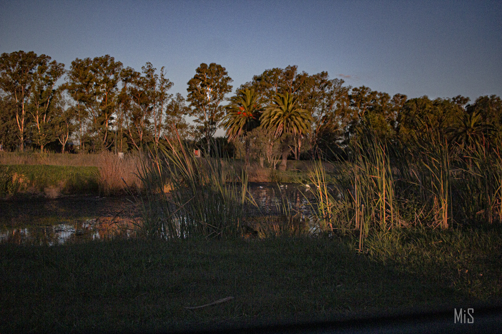 Laguna de Navarro