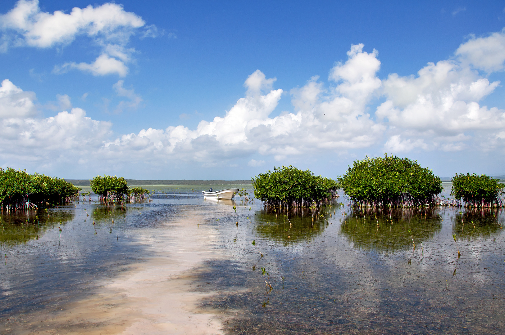 Laguna de Oviedo