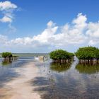 Laguna de Oviedo