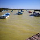 Laguna de Oviedo