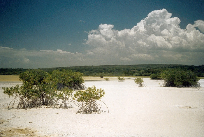 Laguna de Oviedo