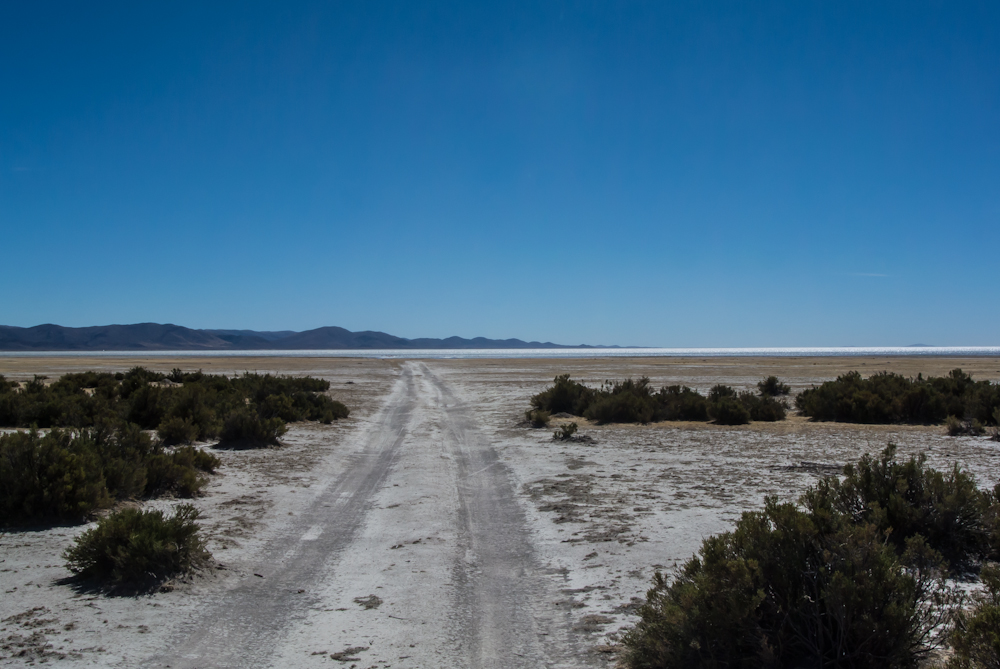 Laguna de Pozuelos