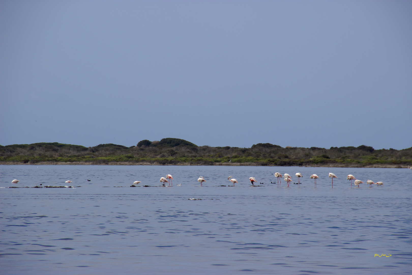 Laguna de Punta Entinas