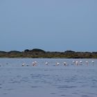 Laguna de Punta Entinas