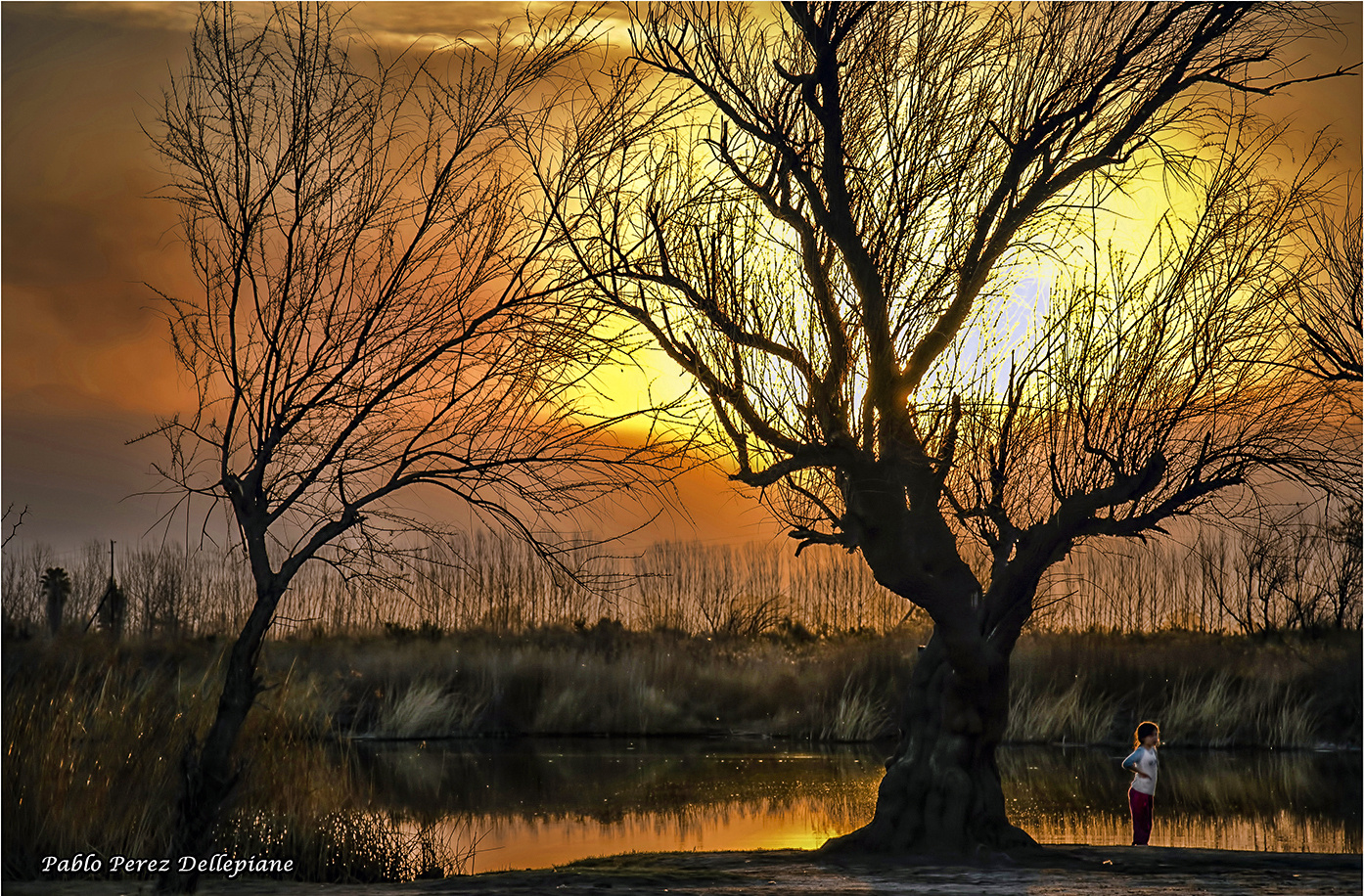 Laguna de Soria