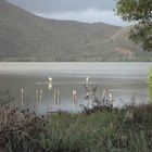 Laguna de Unare El Hatillo