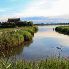 laguna di Caorle