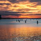 Laguna di Chioggia....