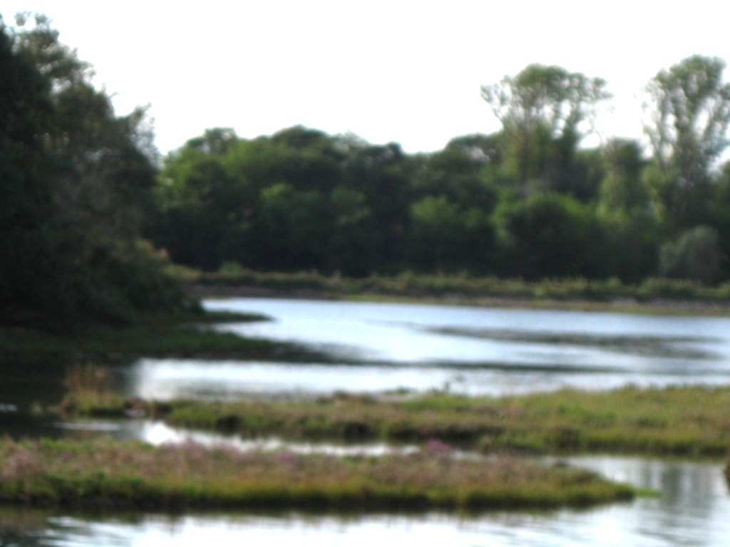 Laguna di Grado