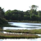 Laguna di Grado