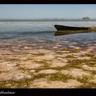 Laguna di Grado - Porto Buso -