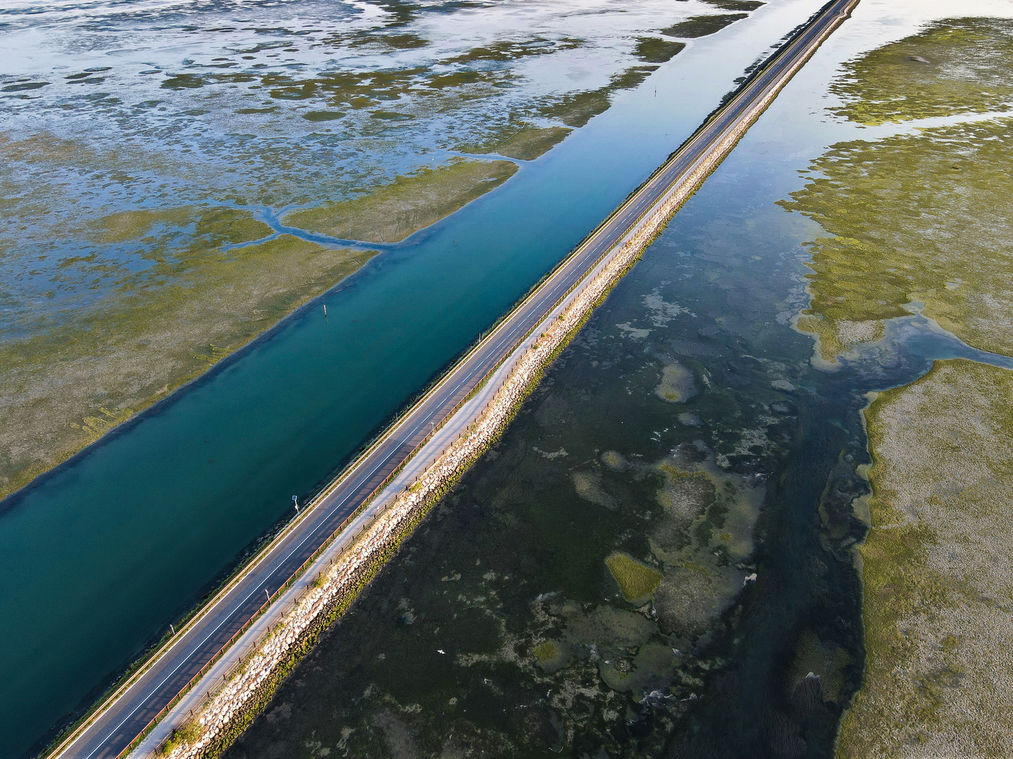 Laguna di Grado V