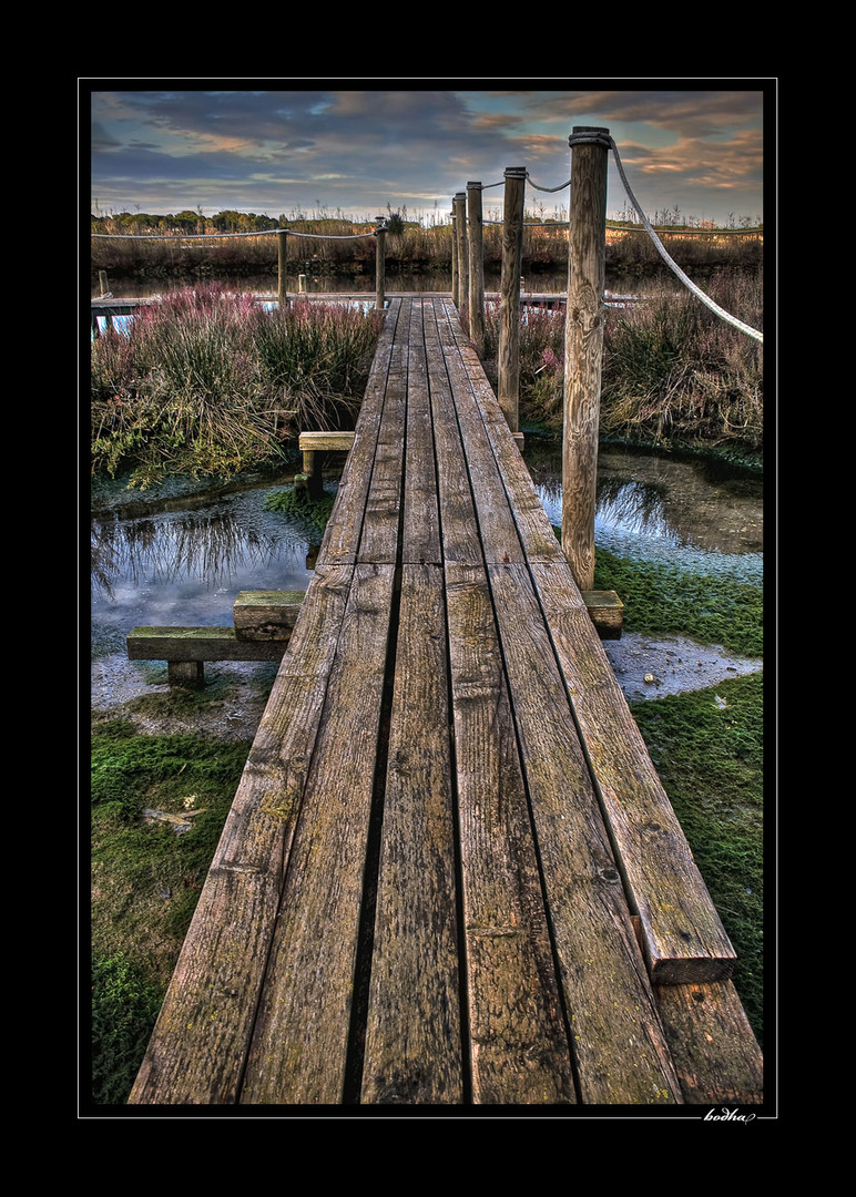 laguna di Orbetello...