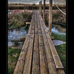 laguna di Orbetello...
