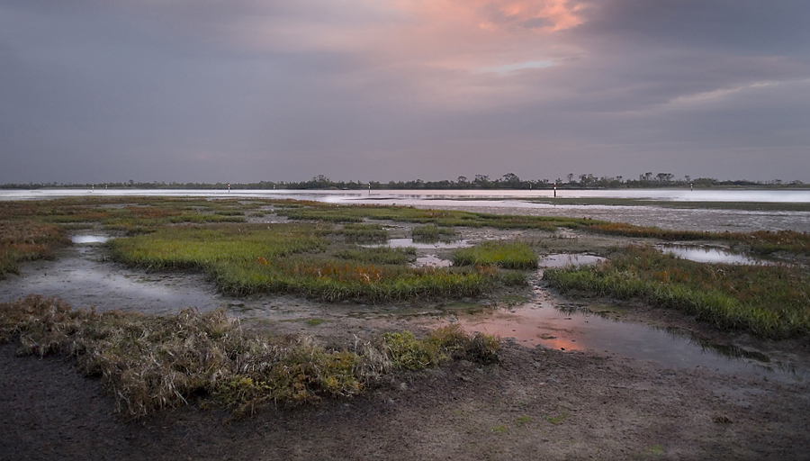 Laguna die Grado