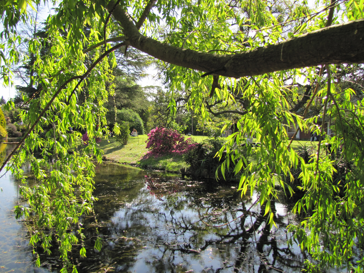 Laguna en la Feria de la Flor