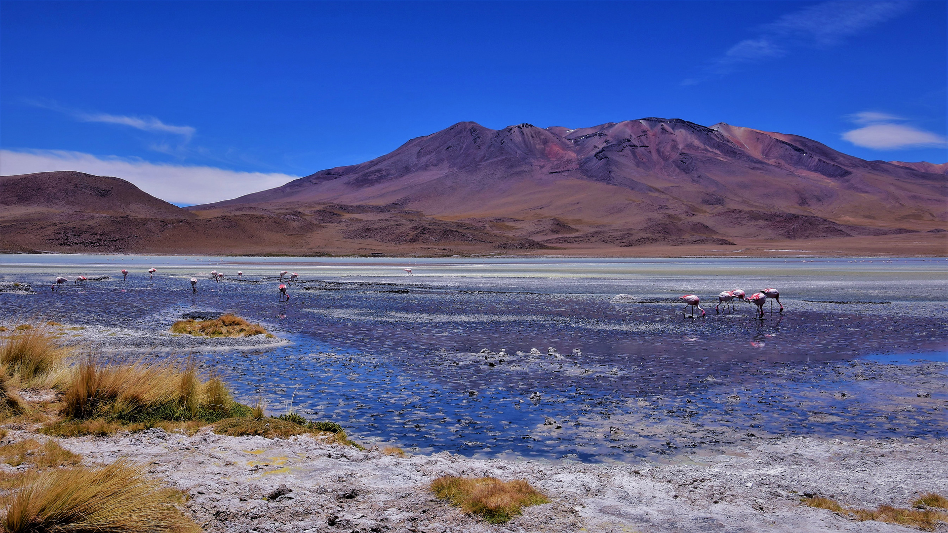 laguna hedionda