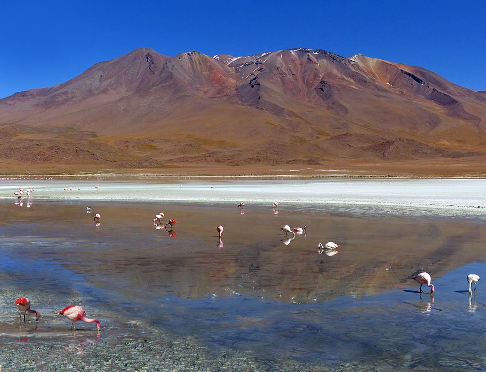 Laguna Hedionda