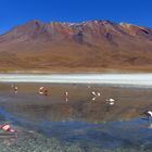 Laguna Hedionda