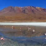 Laguna Hedionda