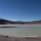 Laguna Hedionda