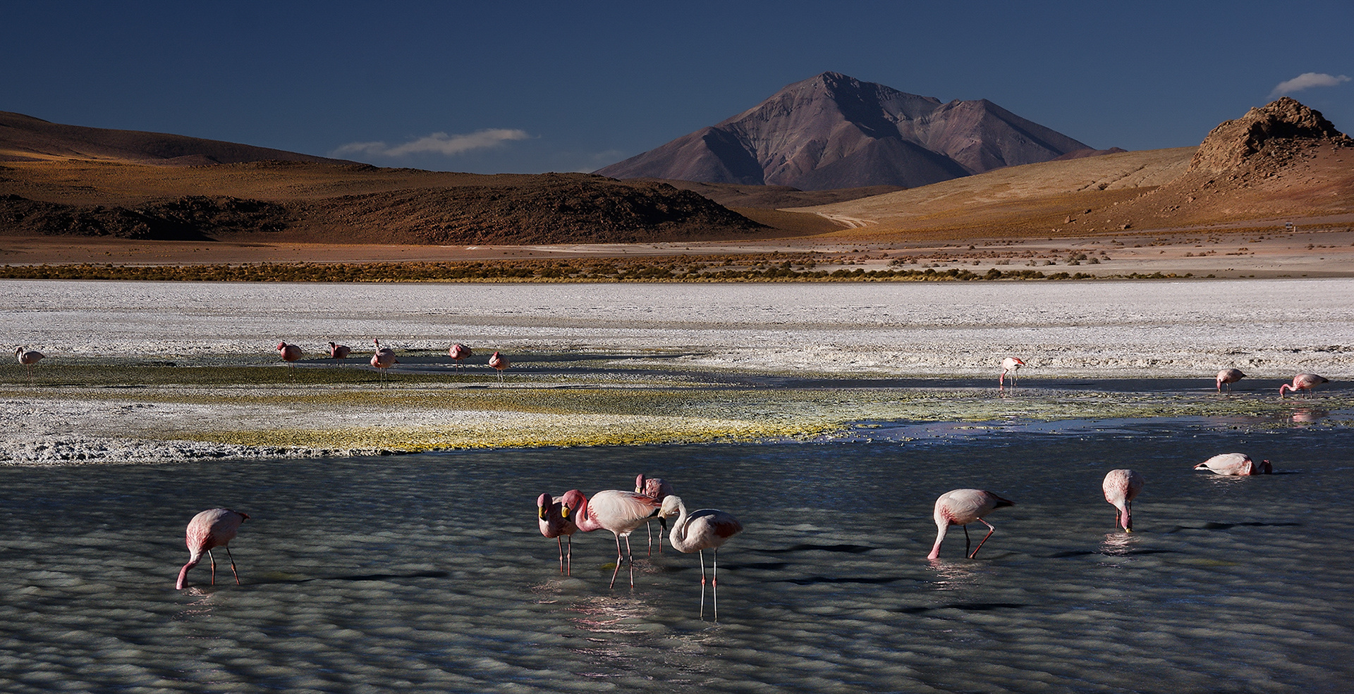 Laguna Hedionda