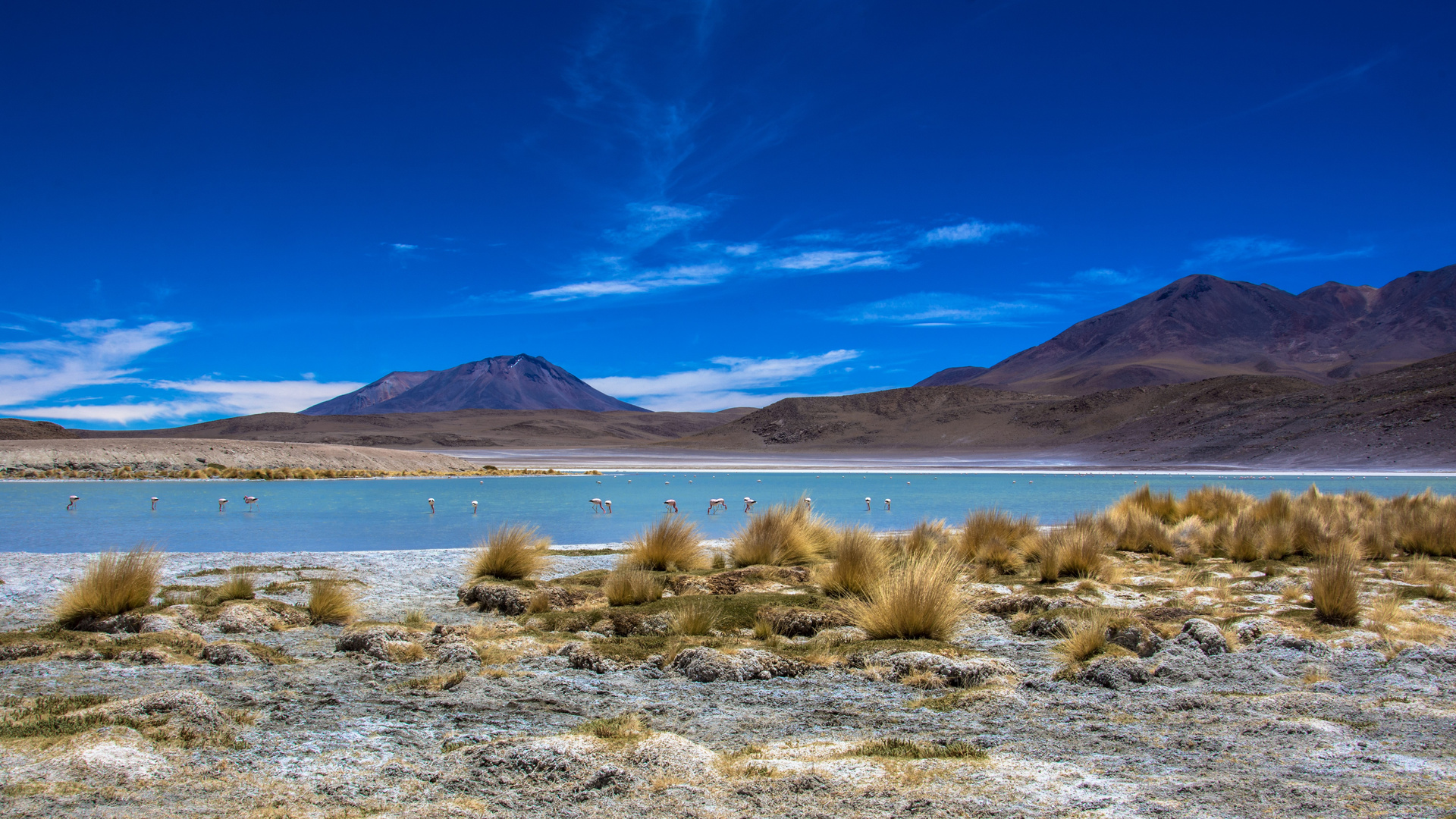 laguna honda, altiplano