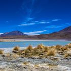 laguna honda, altiplano