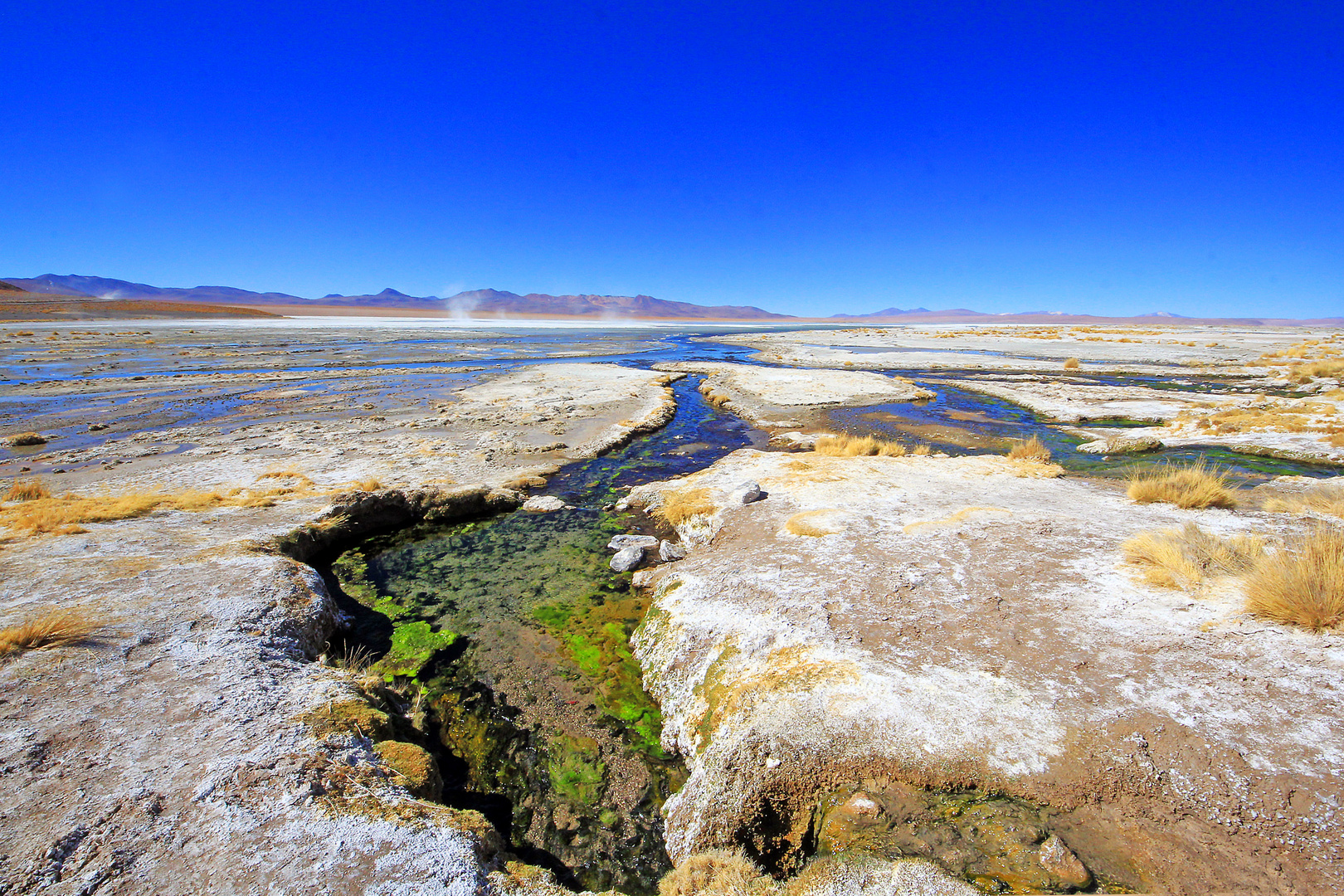 Laguna Honda, Altiplano, Bolivien