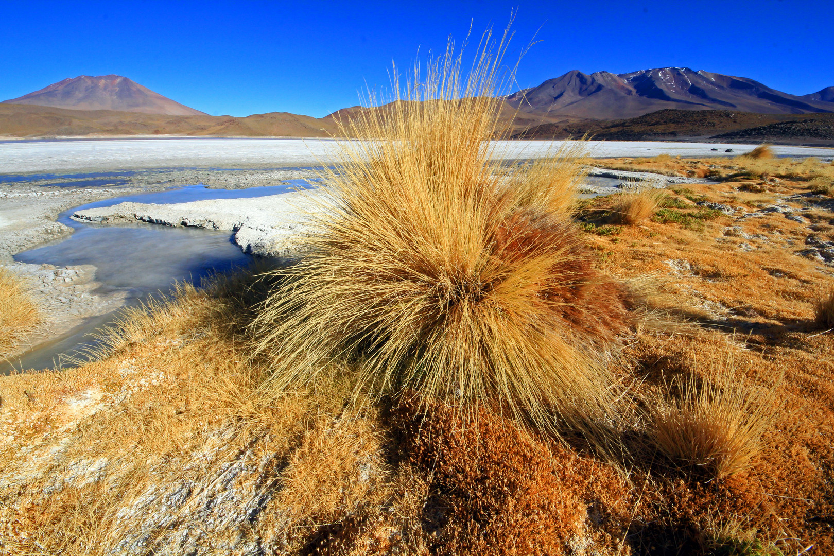 Laguna Honda, Bolivien