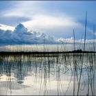 Laguna Ibera