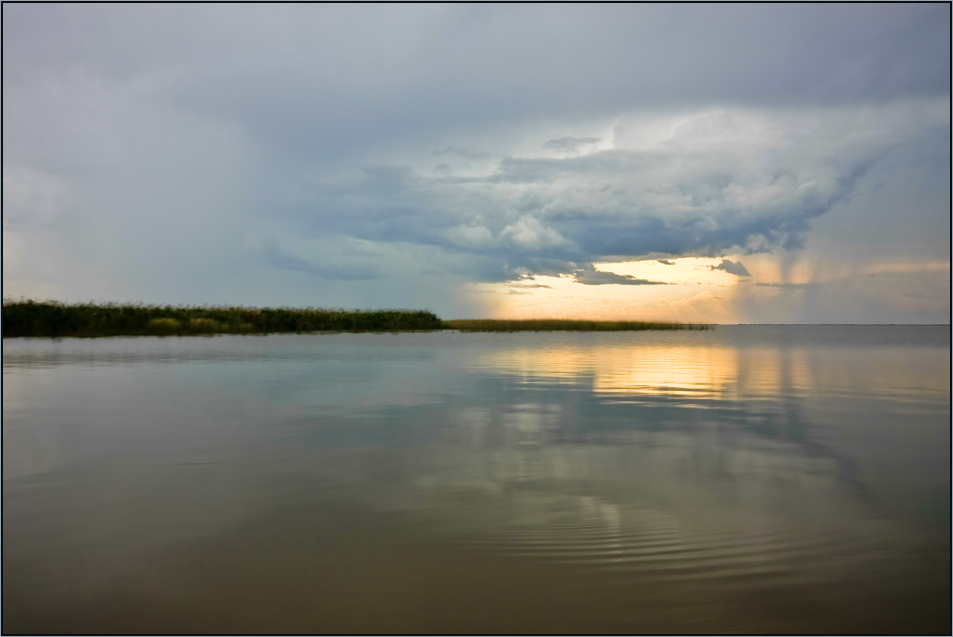 Laguna Ibera