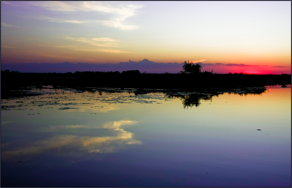 Laguna Ibera ll