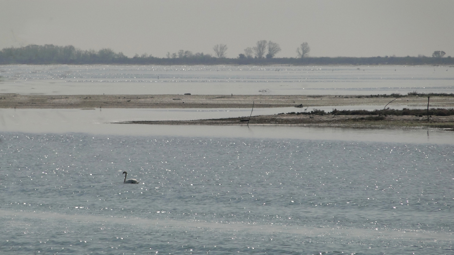 Laguna in controluce