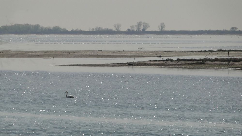 Laguna in controluce