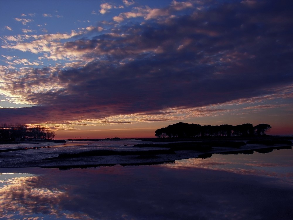 Laguna in inverno 5