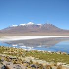 Laguna in Los Lípez