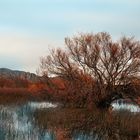 Laguna in riva al mare